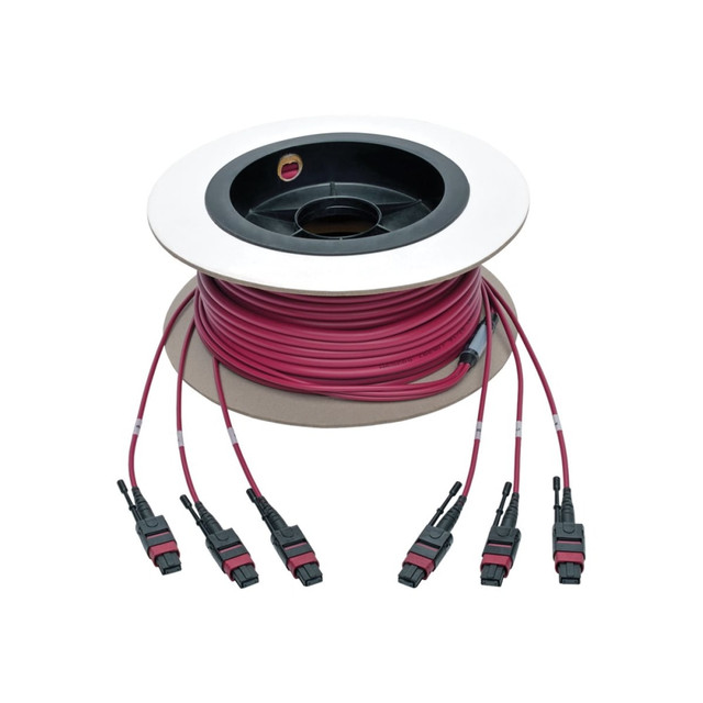 TRIPP LITE N858-11M-3X8-MG 24-Fiber MTP MPO OM4 Base-8 MMF Trunk Cable 40/100GbE 3X, 11M - Network cable - MTP/MPO multi-mode (F) to MTP/MPO multi-mode (F) - 11 m - fiber optic - 50 / 125 micron - OM4 - plenum, stranded - magenta TRIPP LITE N858-11M-3X8-MG 24-Fiber MTP MPO OM4 Base-8 MMF Trunk Cable 40/100GbE 3X, 11M - Network cable - MTP/MPO multi-mode (F) to MTP/MPO multi-mode (F) - 11 m - fiber optic - 50 / 125 micron - OM4 - plenum, stranded - magenta