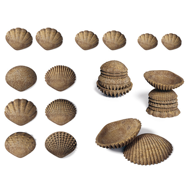 LEARNING ADVANTAGE edxeducation® Tactile Shells - Eco-Friendly - 36 Pieces, 6 Textures, 3 Sizes - Ages 18m+