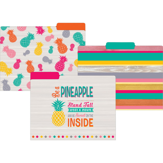 TEACHER CREATED RESOURCES Teacher Created Resources® Tropical Punch File Folders, Letter Size, Pack of 12 TEACHER CREATED RESOURCES Teacher Created Resources® Tropical Punch File Folders, Letter Size, Pack of 12