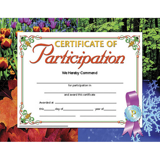 FLIPSIDE Hayes Publishing Certificate of Participation, 8.5" x 11", Pack of 30