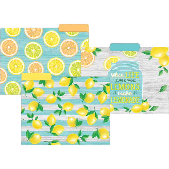 TEACHER CREATED RESOURCES Teacher Created Resources® Lemon Zest Letter-Sized File Folders, Pack of 12