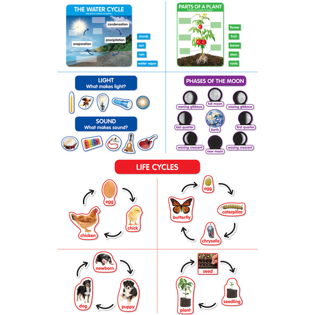 SCHOLASTIC TEACHING RESOURCES Scholastic Teaching Solutions Early Science Concepts Bulletin Board Set