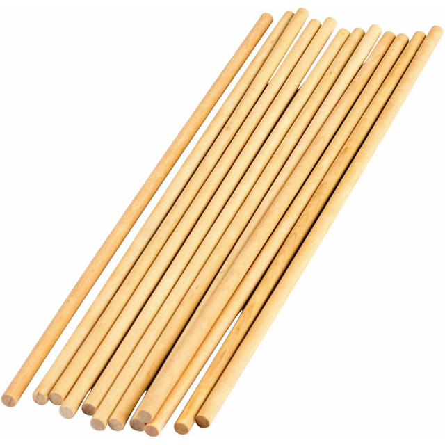 TEACHER CREATED RESOURCES Teacher Created Resources® STEM Basics: 1/4" Wood Dowels, Pack of 12