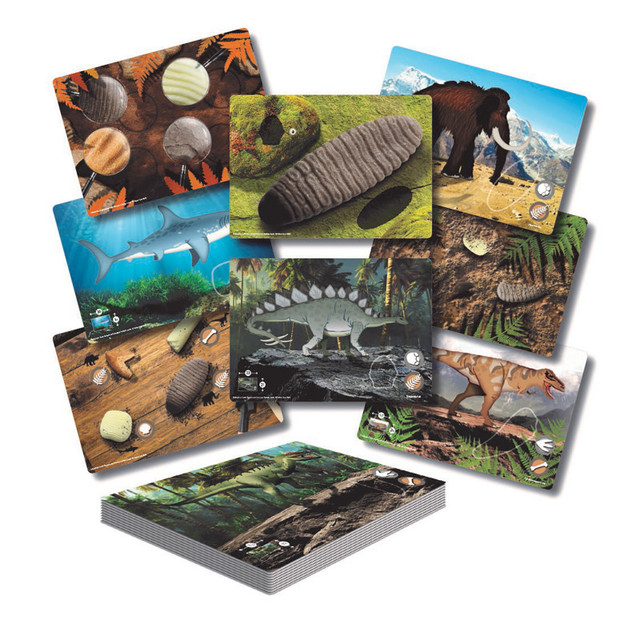 YELLOW DOOR US LLC Yellow Door Prehistoric Teeth – Explore and Discover Activity Cards, Set of 16