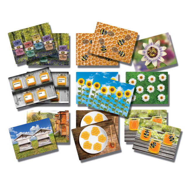 YELLOW DOOR US LLC Yellow Door Honey Bee Early Number Cards, Set of 16