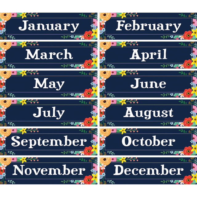 TEACHER CREATED RESOURCES Teacher Created Resources® Wildflowers Monthly Headliners, Pack of 12