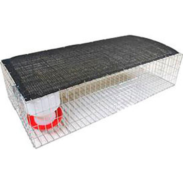 BIRD BARRIER AMERICA  INC. Bird Barrier® Pigeon Collapsible Trap Steel Silver p/n TT-SW05