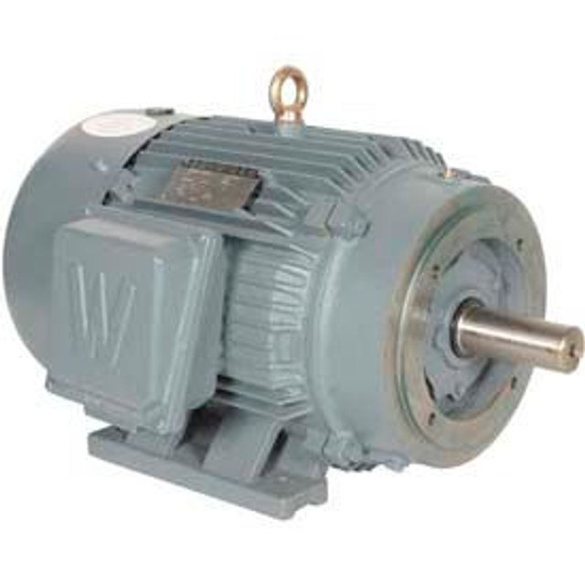 Worldwide Electric Corporation Worldwide Electric T-Frame Motor PEWWE100-18-405TC GP TEFC Rigid-C 3 PH 405TC 115 FLA p/n PEWWE100-18-405TC