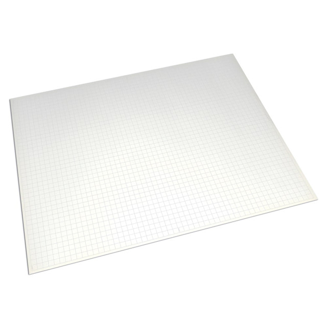 PACON CORPORATION PACCAR90330K Pacon Ghostline Foam Boards, White, 22in x 28in, Pack Of 5 Boards