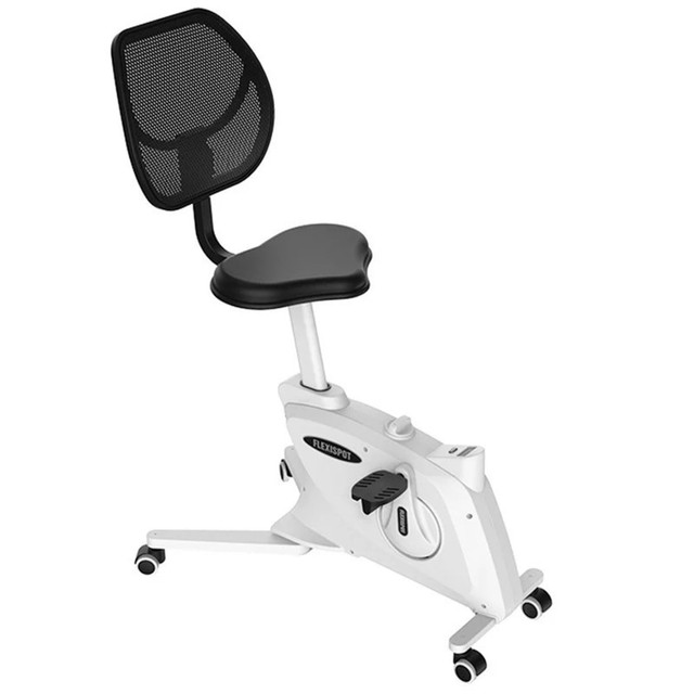 ZOXOU INC. FlexiSpot FC211W-A  FC211 Fitness Chair, Black/White