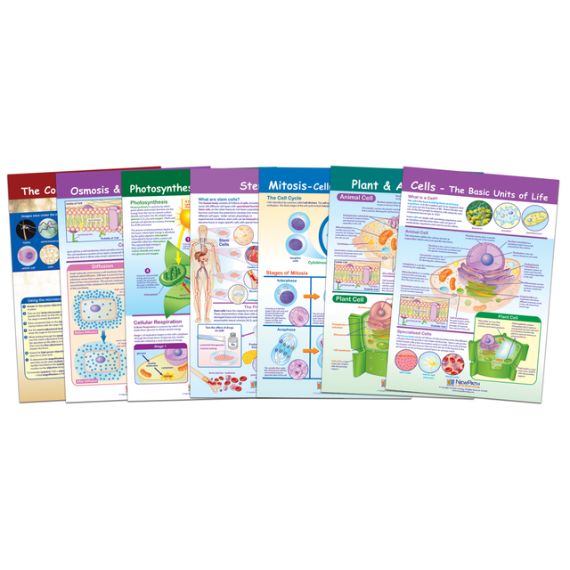 NEWPATH LEARNING NP-947001 New Path Learning Cells Bulletin Board Chart Set, Grades 3 - 5, Set Of 7
