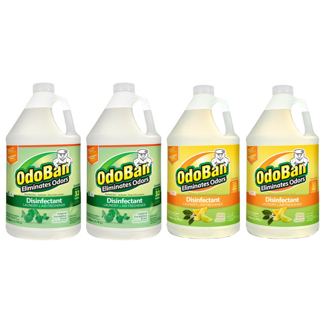 CLEAN CONTROL CORPORATION OdoBan 91EUCG2CITG2-OD  Odor Eliminator Disinfectant Concentrate, 128 Oz, Case Of 2 Eucalyptus Scent Jugs And 2 Citrus Scent Jugs