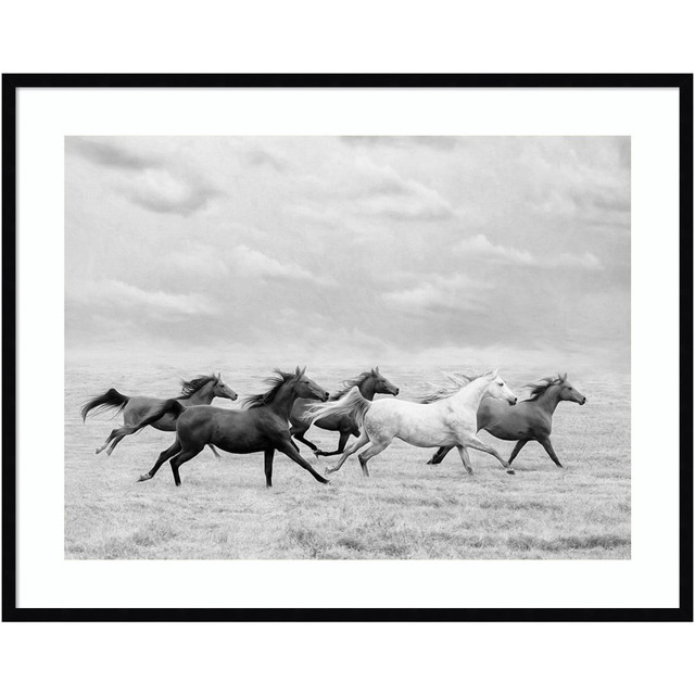 UNIEK INC. Amanti Art A42705460002  Horse Run I by PHBurchett Wood Framed Wall Art Print, 33inH x 41inW, Black