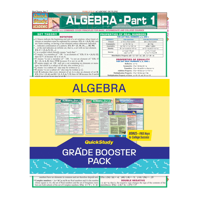 Brush up on the topics you are currently studying using this QuickStudy Grade Booster Pack. The straightforward format and color-coded sections help you learn and retain information well.  Reference materials help make learning simple.  Helps you learn important mathematical concepts.  Includes a Keys to College Success guide.