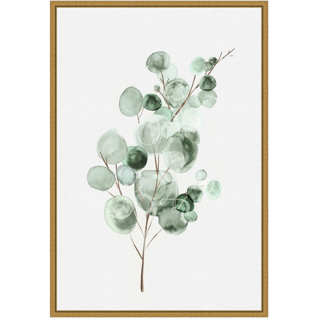 UNIEK INC. Amanti Art A42705040761  Tender Sprout II Eucalyptus by Eva Watts Framed Canvas Wall Art Print, 23inH x 16inW, Gold