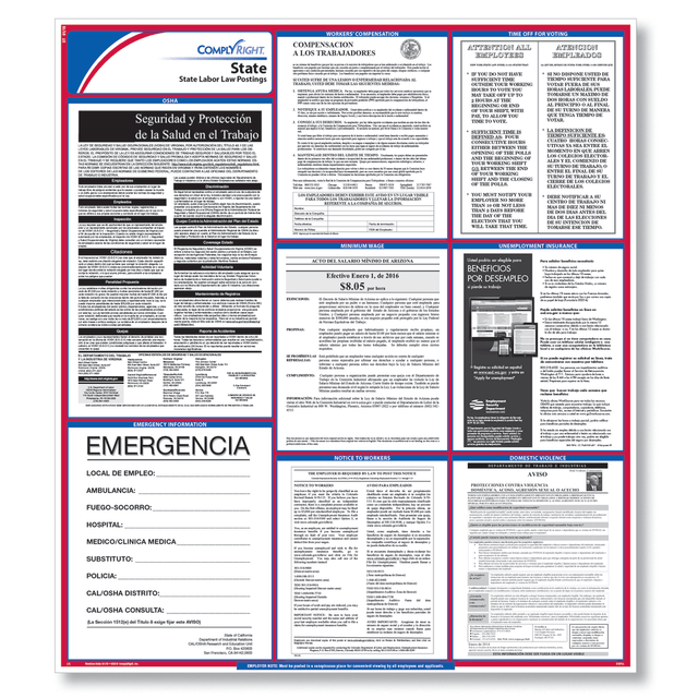 TAX FORMS PRINTING, INC. E10TNS ComplyRight State Labor Law Poster, Tennessee, Spanish, 24in x 30in