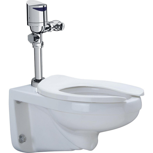 Zurn Z.WC1.S.TM Toilets; Bowl Shape: Elongated ; Flush Style: Single Flush ; Flush Handle: Top Button ; Toilet Type: Wall Mounted Toilet ; Includes Seat: Yes ; Insulated Tank: No