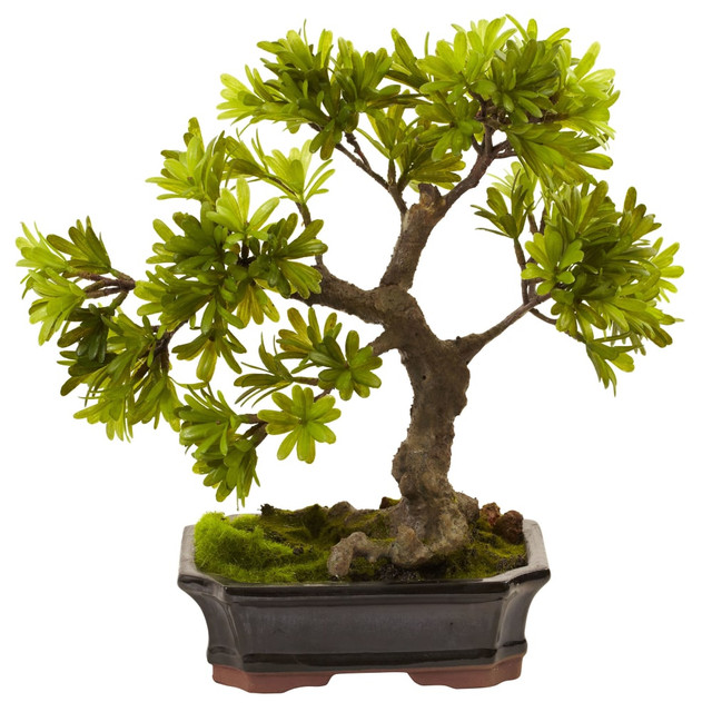 NEARLY NATURAL INC. 4848 Nearly Natural Podocarpus 14inH Plastic Plant With Mossed Bonsai Planter, 14inH x 14inW x 8-1/2inD, Green