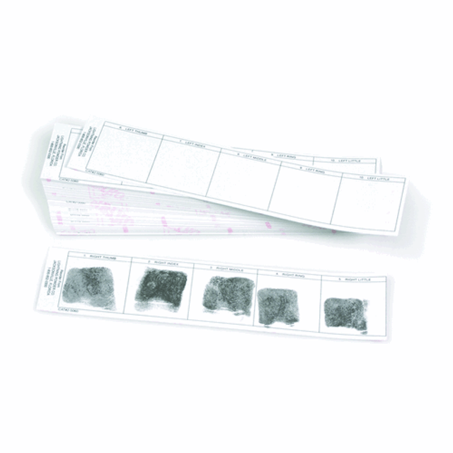 Identicator 1005004 Post-Mortem Card Strips (non-adhesive) Identicator 1005004 Post-Mortem Card Strips (non-adhesive)