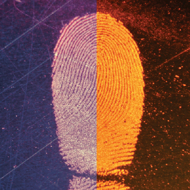 Lightning Powder 1003875 Magnetic Powder