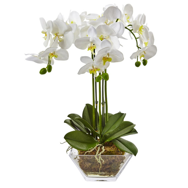 NEARLY NATURAL INC. 4570 Nearly Natural 22inH Artificial Triple Phalaenopsis Orchid With Glass Vase, White/Clear