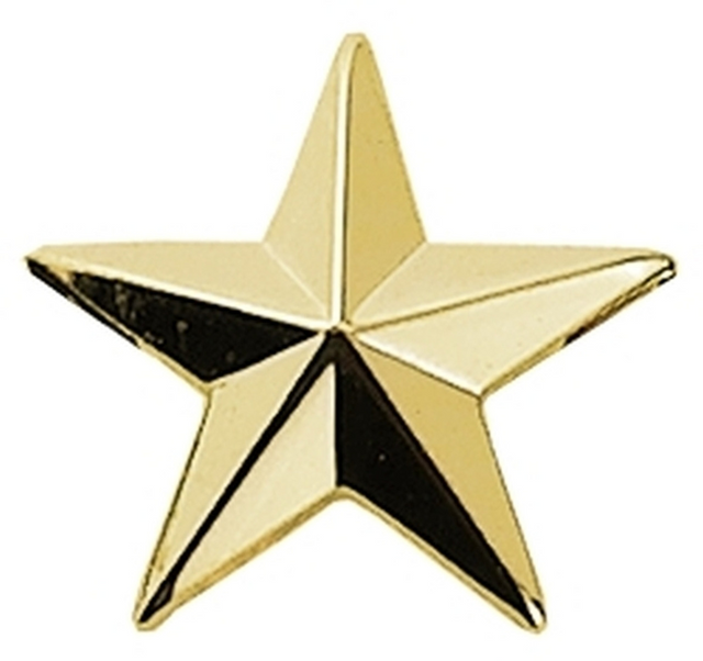 Hero's Pride 4485G 1 Star Pin 1/2'' High - Pair Hero's Pride 4485G 1 Star Pin 1/2'' High - Pair