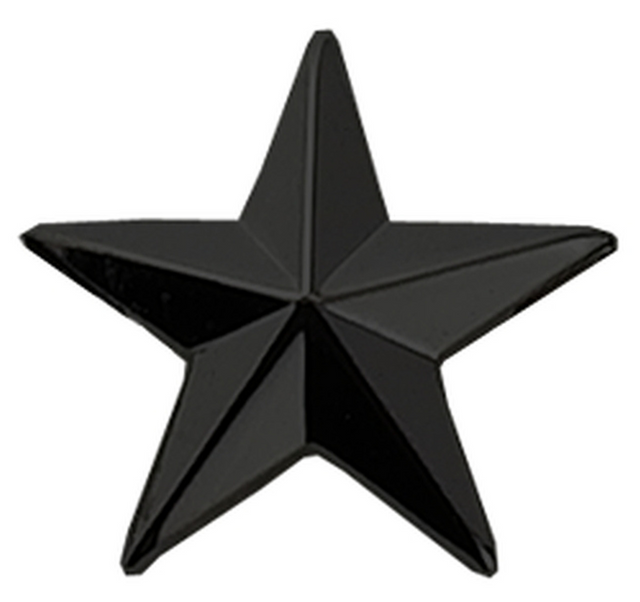 Hero's Pride 4485B 1 Star Pin 1/2'' High - Pair