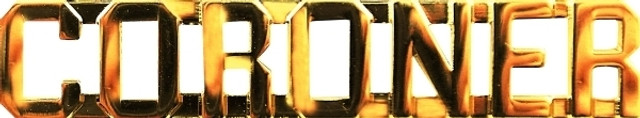Hero's Pride 4380G CORONER Metal Letters 3/8'' High - Pair