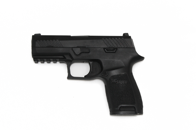 Blue Training Guns By Rings FSP320CB Sig P320
