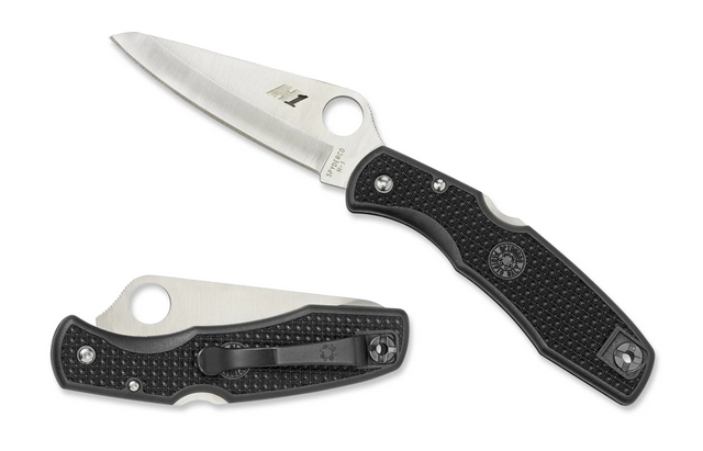 Spyderco C91PBK2 Pacific Salt 2