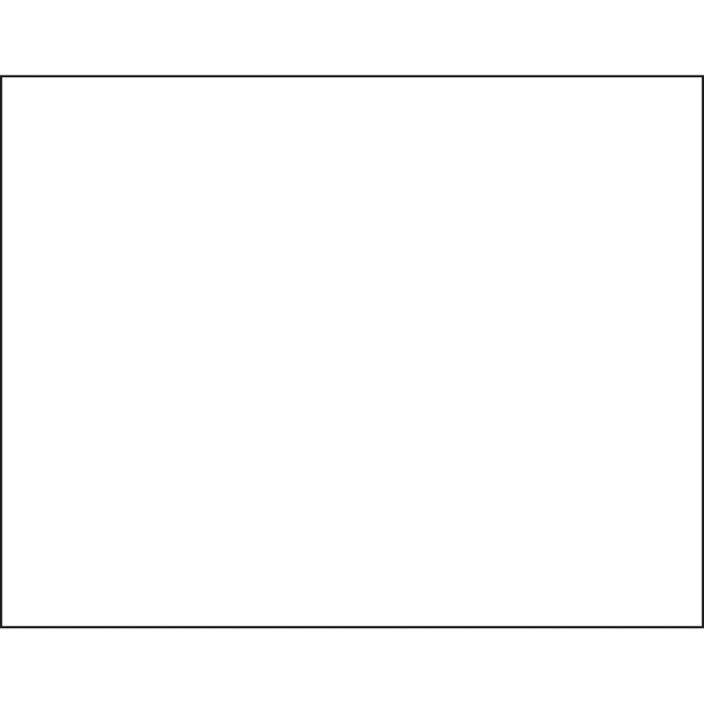 PACON CORPORATION 104159 Pacon Peacock 100% Recycled Railroad Board, 22in x 28in, 4-Ply, White, Pack Of 25