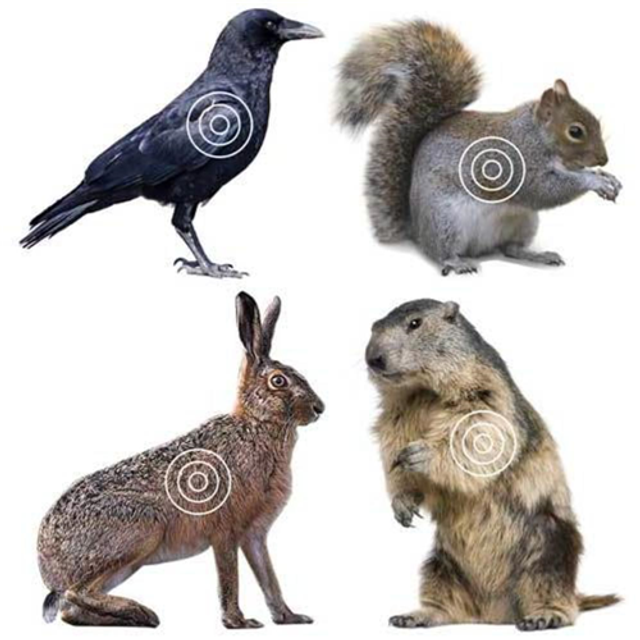 Lyman Products 4320078 Target Roll