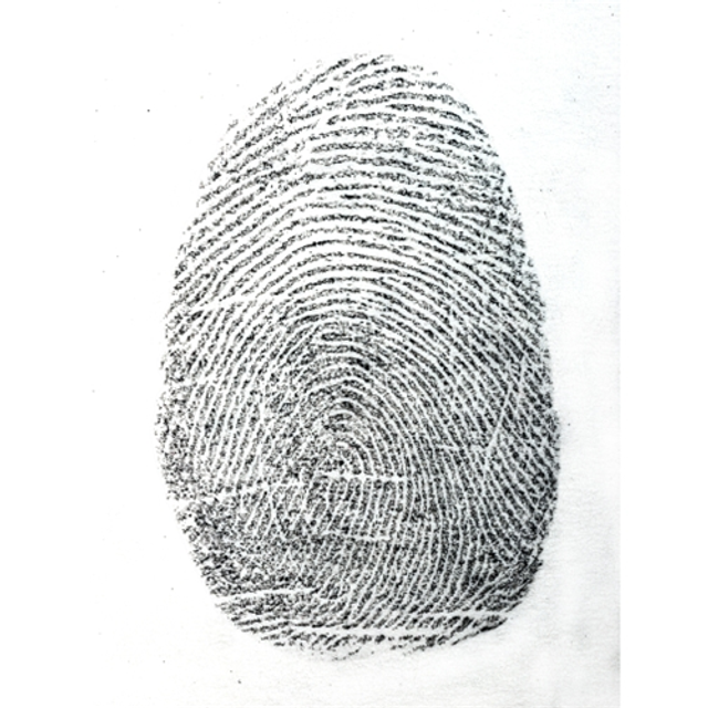 Sirchie DNA101L DNA Free Silk Black Latent Finger Print Powder 1 oz