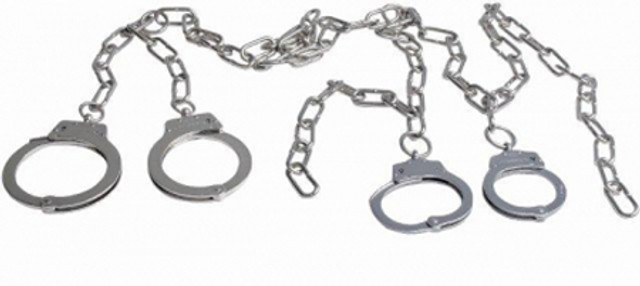 Combined Systems 1010/9000H H-Style Trasport Restraint