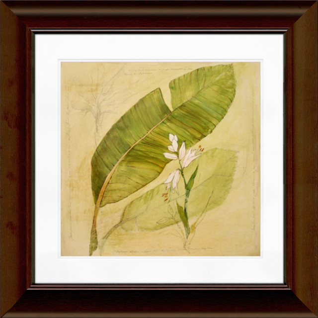 LCO DESTINY LLC Timeless Frames 55326  Katrina Framed Floral Artwork, 12in x 12in, Brown, Botanical Study I