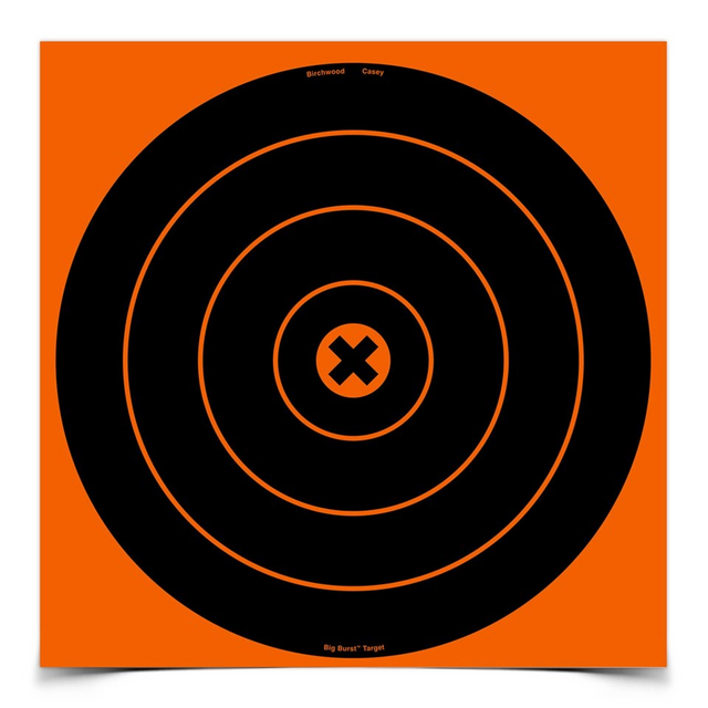 Birchwood Casey BC-36123 Big Burst 12 Inch Bull's-Eye Target, 3 Sheets