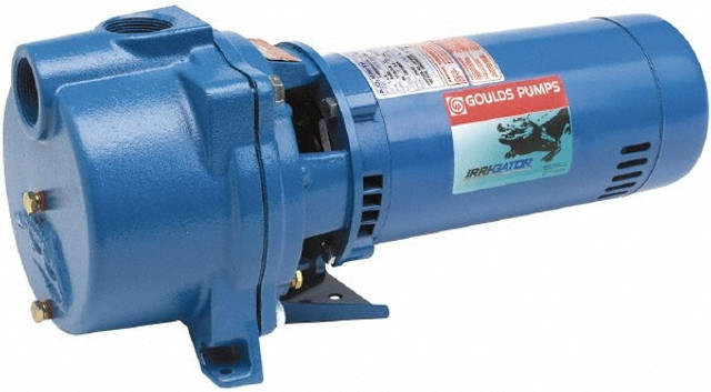 Goulds Pumps GT30 Self-Priming Centrifugal Pump: 230V, 17.2A, 1 Phase, 3 hp