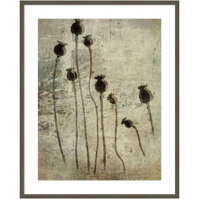 UNIEK INC. Amanti Art A42705535984  Poppy Seedlings by Nel Talen Wood Framed Wall Art Print, 33inW x 41inH, Gray