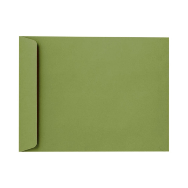 ACTION ENVELOPE EX4897-27-250 LUX Open-End 10in x 13in Envelopes, Gummed Seal, Avocado Green, Pack Of 250 ACTION ENVELOPE EX4897-27-250 LUX Open-End 10in x 13in Envelopes, Gummed Seal, Avocado Green, Pack Of 250