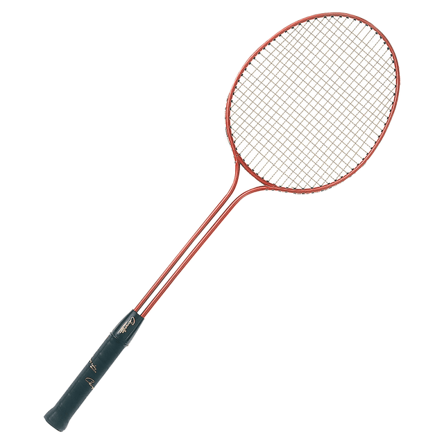 CHAMPION SPORTS BR30 Badminton Racket - Blue - Nylon, Steel CHAMPION SPORTS BR30 Badminton Racket - Blue - Nylon, Steel