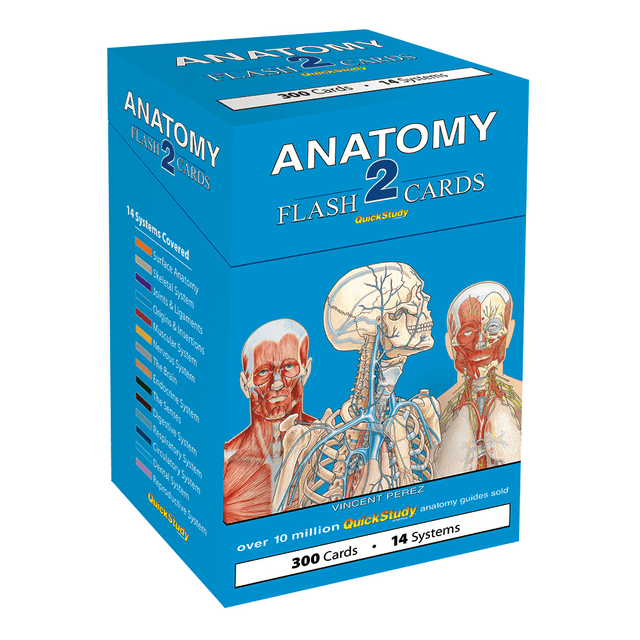 BARCHARTS INC QuickStudy 232469  Flash Cards, 4in x 3-1/2in, Human Anatomy 2, Pack Of 300 Cards