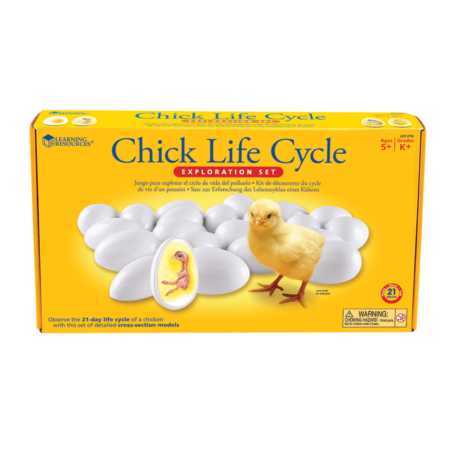 LEARNING RESOURCES, INC. Learning Resources LER2733  Chick Life Cycle Exploration Set, Grades K - 4