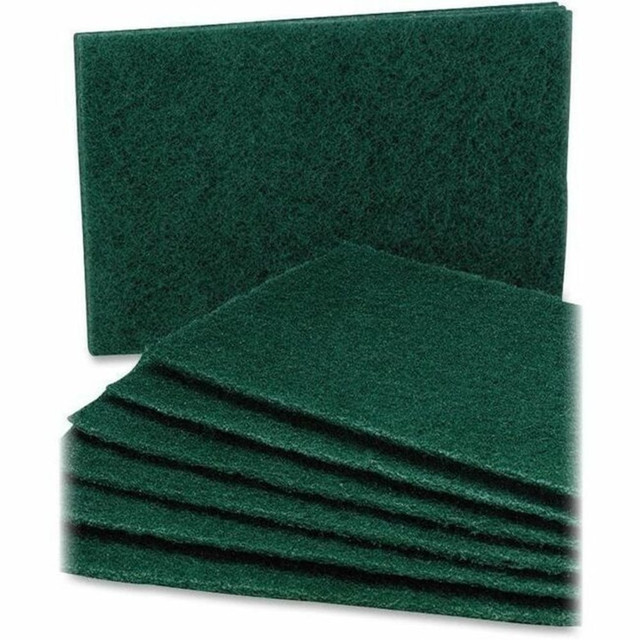 NATIONAL INDUSTRIES FOR THE BLIND SKILCRAFT 601339  Scouring Pads, Pack Of 10 (AbilityOne 7920-00-753-5242)