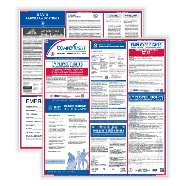 TAX FORMS PRINTING, INC. U1200CTN ComplyRight Federal And State Labor Law 1-Year Poster Service, English, Tennessee