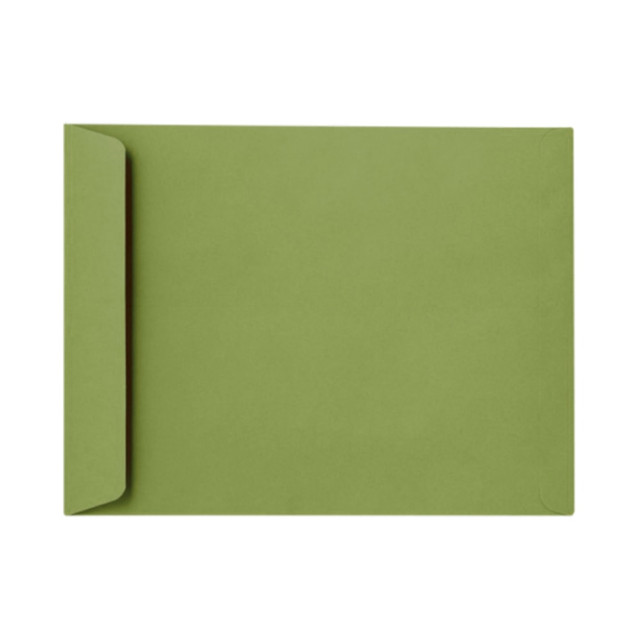 ACTION ENVELOPE EX1644-27-1M LUX #6 1/2 Open-End Envelopes, Peel & Press Closure, Avocado Green, Pack Of 1,000