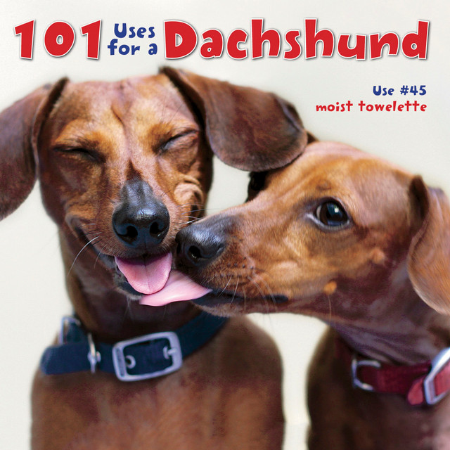 WILLOW CREEK PRESS 30313  5-1/2in x 5-1/2in Hardcover Gift Book, 101 Uses For A Dachshund