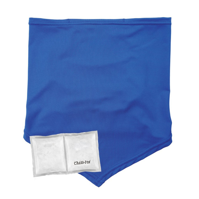 ERGODYNE CORPORATION 42135 Ergodyne Chill-Its 6482 Cooling Neck Gaiter Bandana With Pocket/Ice Packs, S/M, Blue ERGODYNE CORPORATION 42135 Ergodyne Chill-Its 6482 Cooling Neck Gaiter Bandana With Pocket/Ice Packs, S/M, Blue