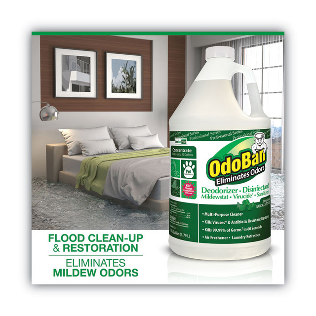 CLEAN CONTROL CORPORATION OdoBan® 911062G4EA Concentrated Odor Eliminator and Disinfectant, Eucalyptus, 1 gal Bottle