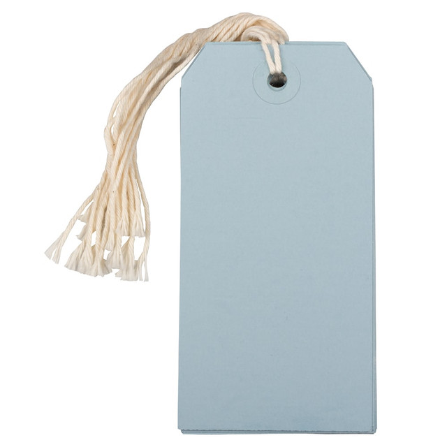 IMSI SOFTWARE PUBLISHING 39197114 JAM Paper Gift Tags, 4 3/4in x 2 3/8in, Baby Blue, Pack Of 10