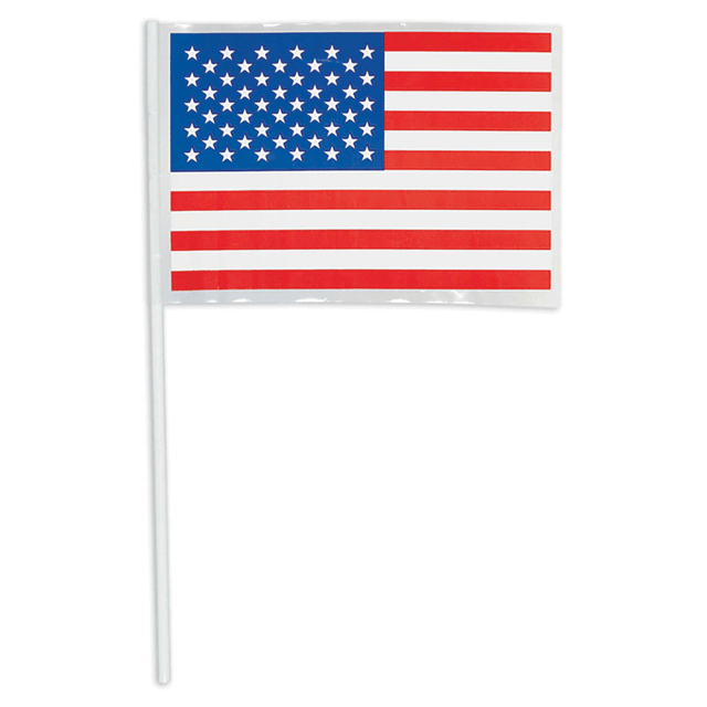 AMSCAN CO INC Amscan 216019  Patriotic Plastic American Flags, 14-1/2in x 6-1/4in, Pack Of 48 Flags